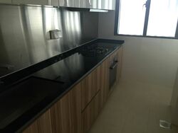 Cityscape @ Farrer Park (D8), Condominium #348417841